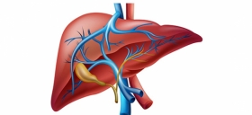 Liver Function Tests